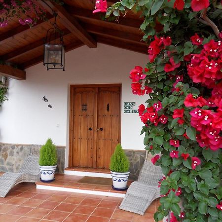 Bed & Breakfast | Guest House Casa Don Carlos Alhaurín el Grande Exterior foto