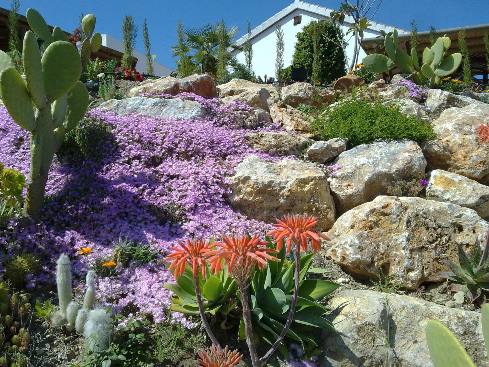 Bed & Breakfast | Guest House Casa Don Carlos Alhaurín el Grande Exterior foto