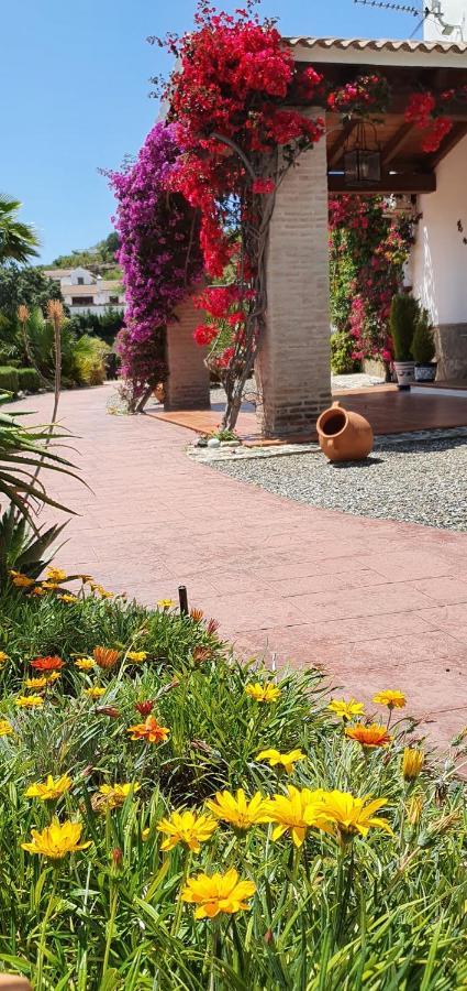Bed & Breakfast | Guest House Casa Don Carlos Alhaurín el Grande Exterior foto